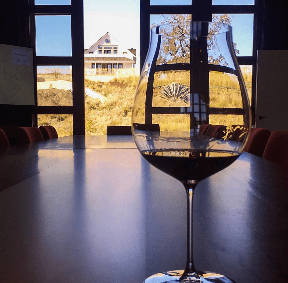 Phenomenal Limos & Wine Tours: Private Napa Valley Wine Experience