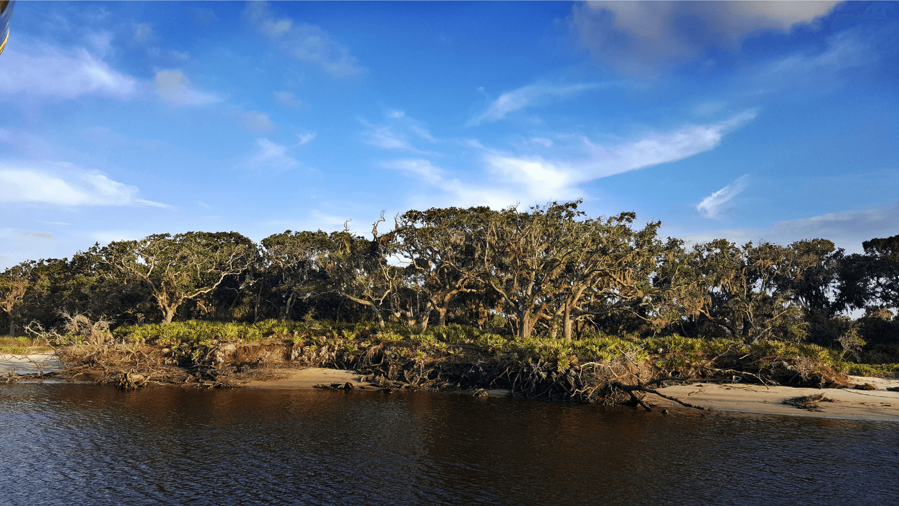 Cumberland Coastal Tour with Amelia River Cruises in Fernandina Beach