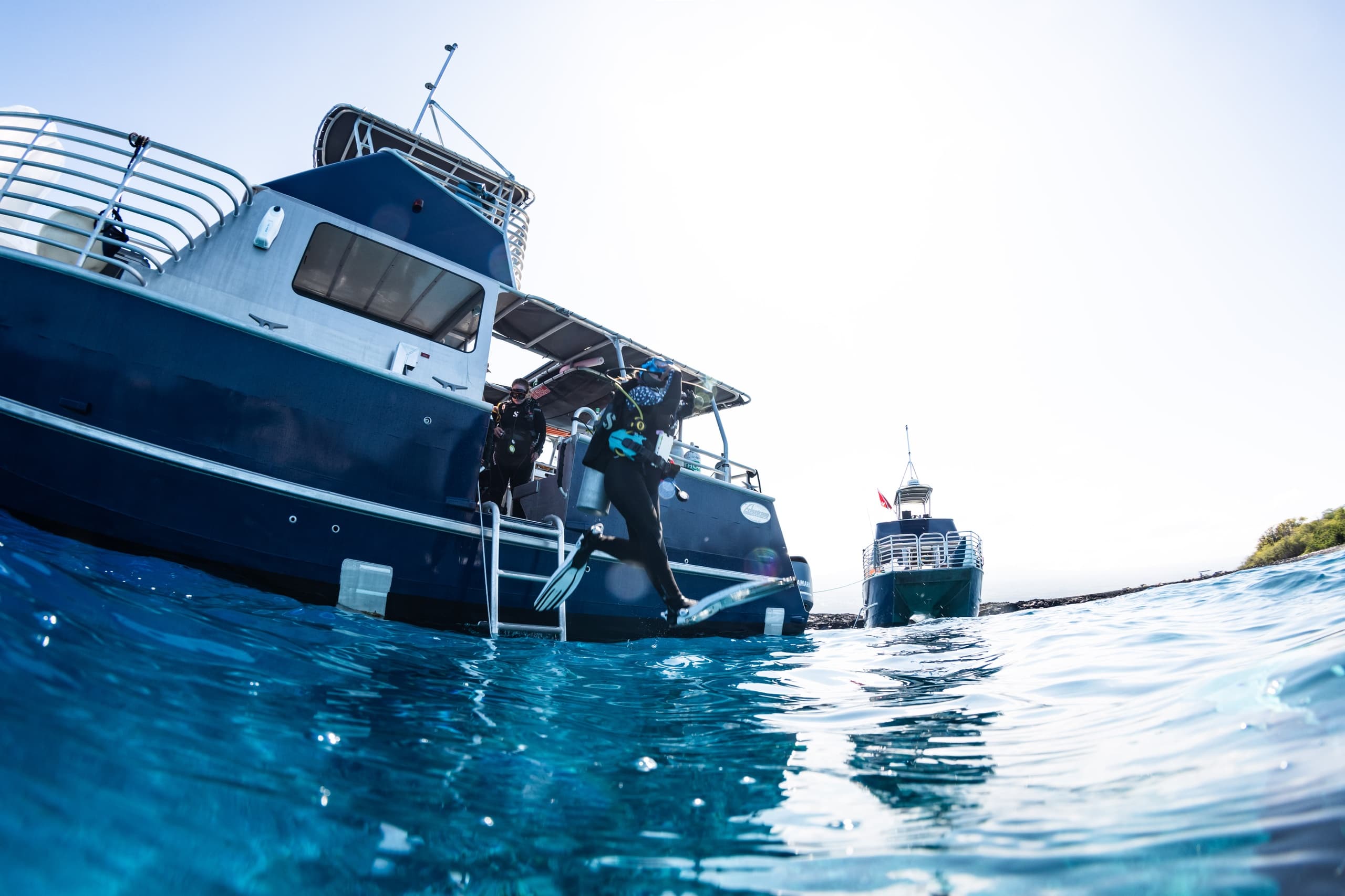 Marine Dive Experience in Kona at Aquatic Life Divers