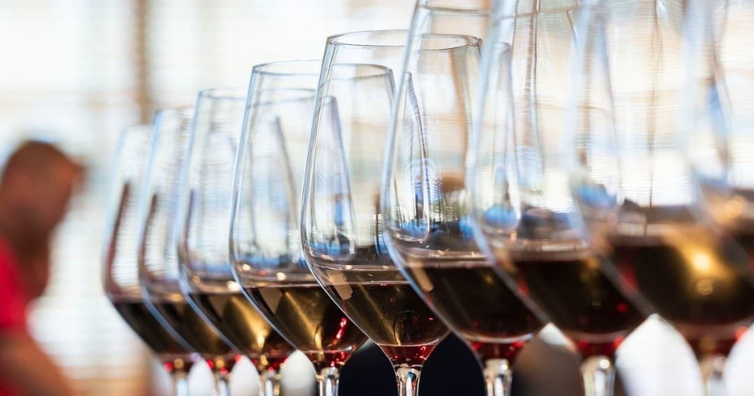 Douro Premium Tasting Tour | Guided Tour in Vale de Mendiz | Food Tour, Private, Wine