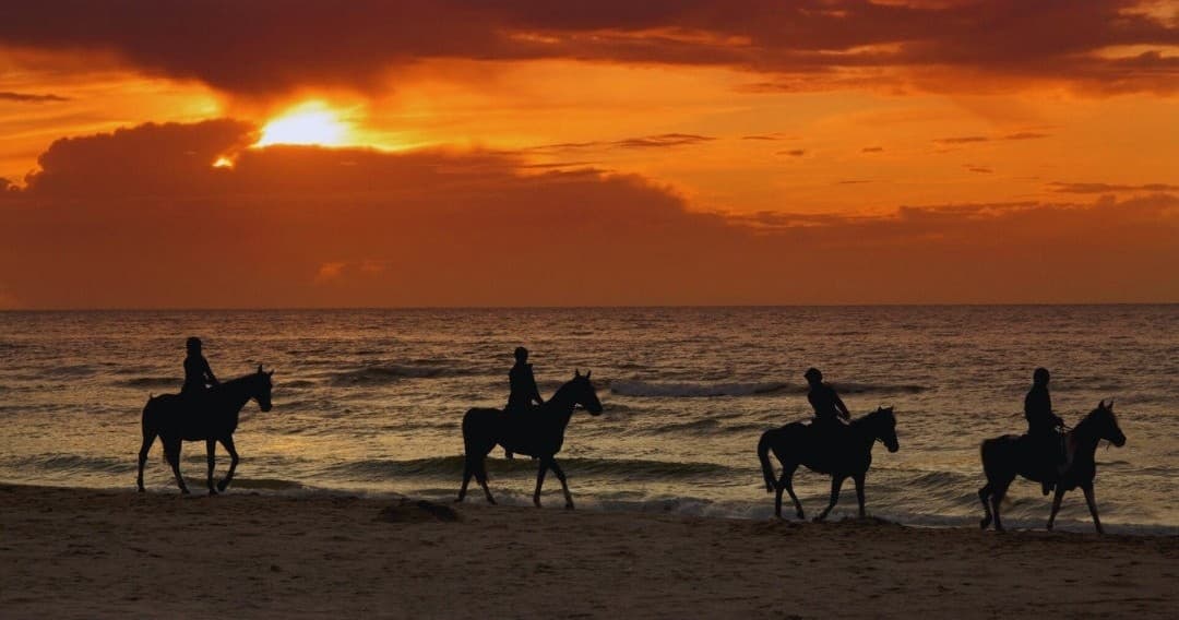 Silhouetted horseback riders on beach at sunset on ocean
