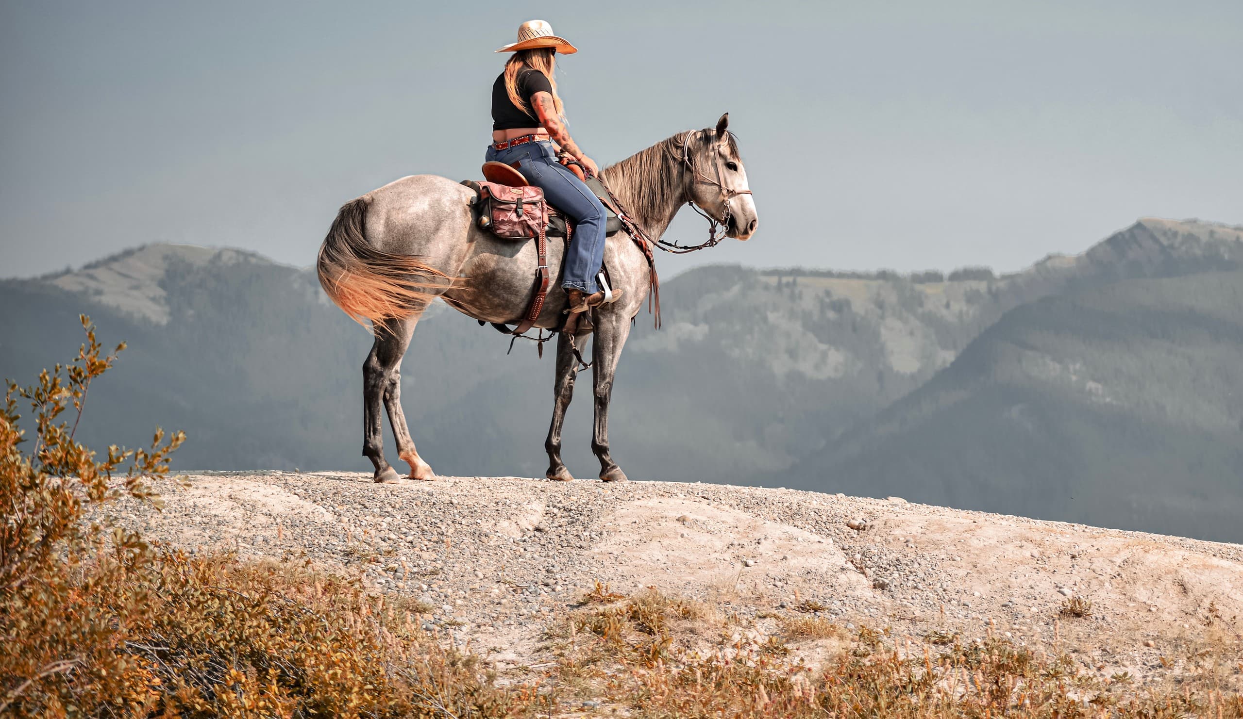 Western Riding Lessons at Wild West Ranch Alberta: Build Horsemanship in the Foothills