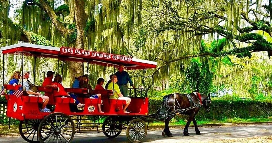 Horse-Drawn History: Beaufort's Historic Carriage Tour