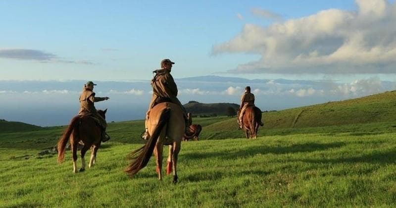 Group horseback ride across rolling grassy hills under blue sky