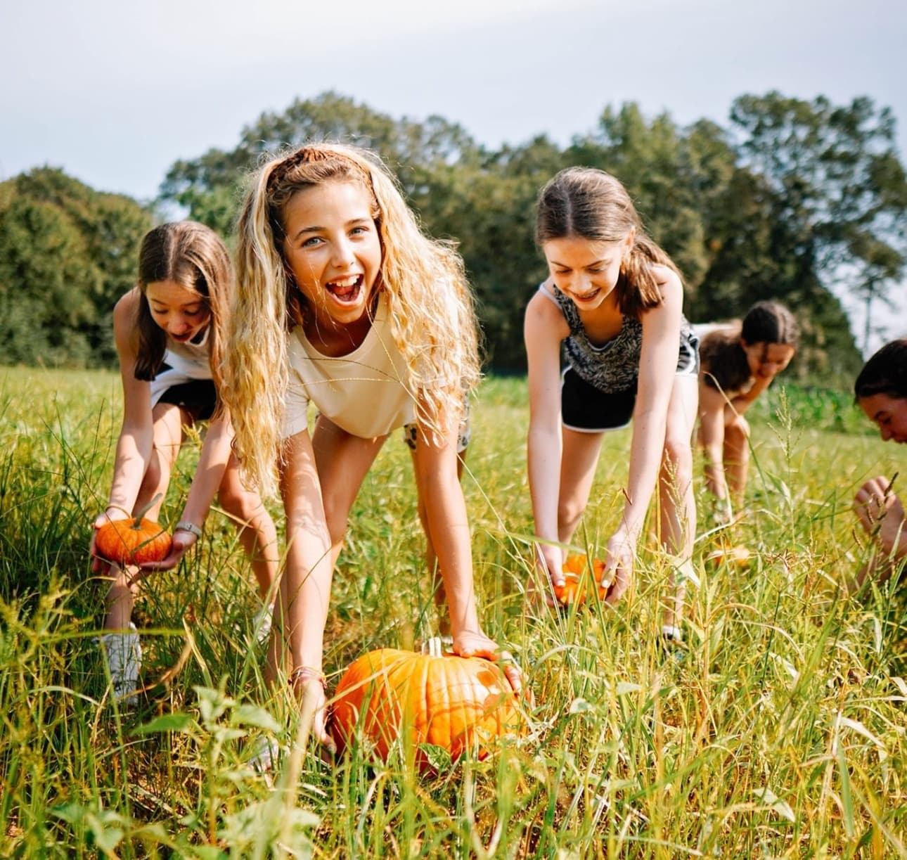 Children harvesting pumpkins and playing in sunny pumpkin patch