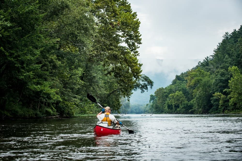 Paddle & Camp the Buchanan to Back Run Creek: Virginia’s Hidden River Escape