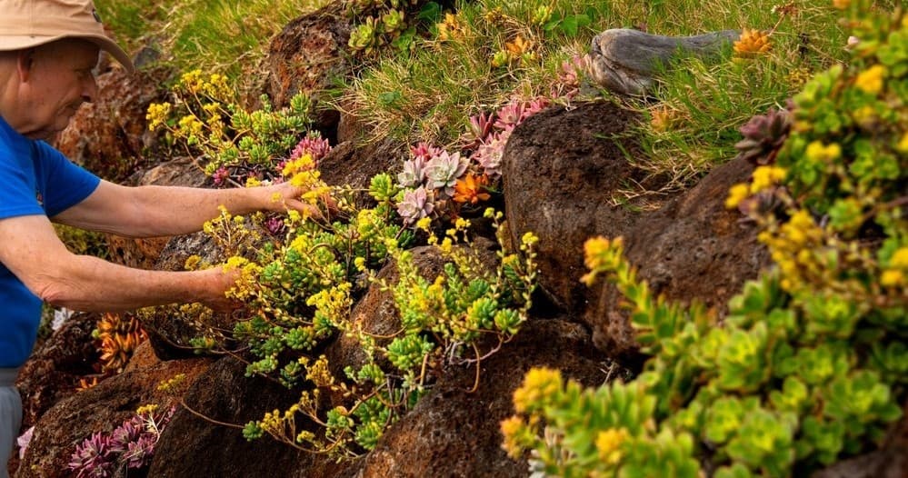 Farm Tour at Kula Pueo Farm in Hawaii: An Intimate Organic Experience