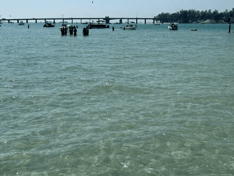 Half-Day Boat Tour with Prime Boat Tours in Bradenton
