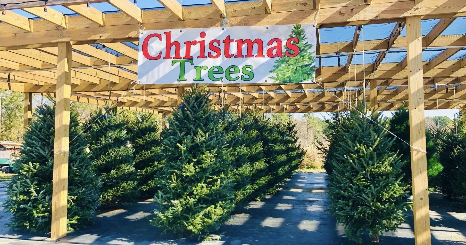 Christmas Wonderland Hayride & Winter Farm Night in Knightdale, NC