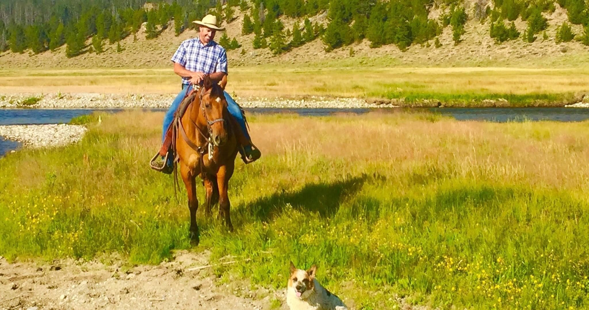 Cowboy horseback riding across open meadow with cattle dog