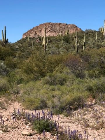 Three Day Rental Exotic Canam Ride in Wickenburg, AZ