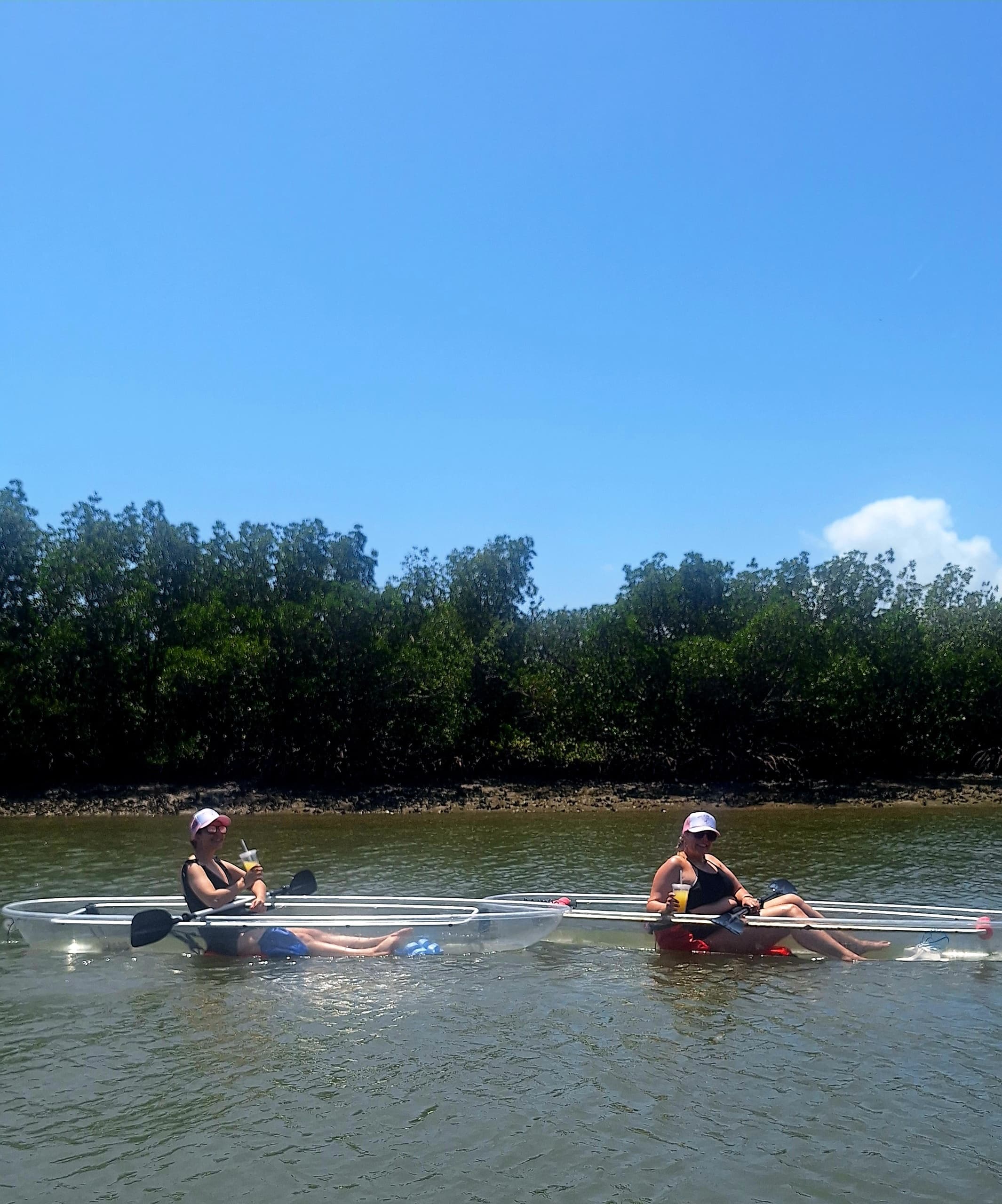 New Smyrna Mangrove Paddle & Mimosa Tour in Florida