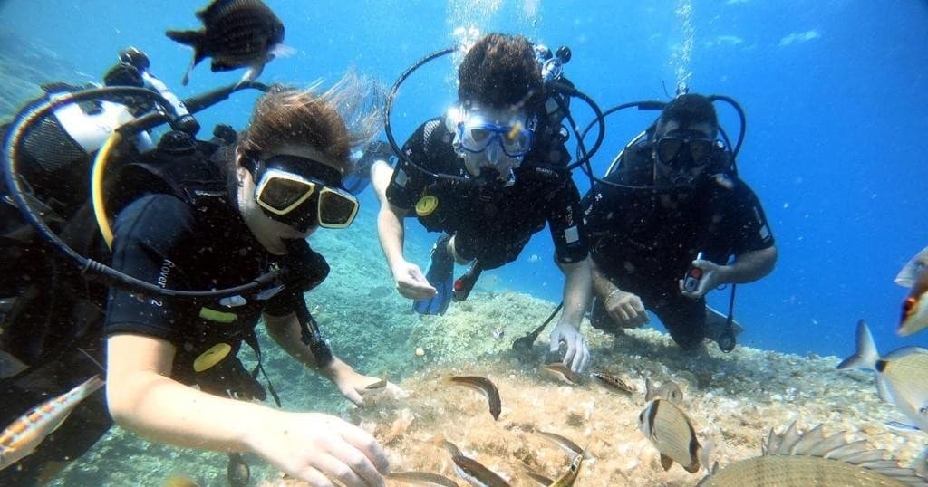 Croatia Diving with Waterworld d.o.o.: Discover Šolta's Underwater World