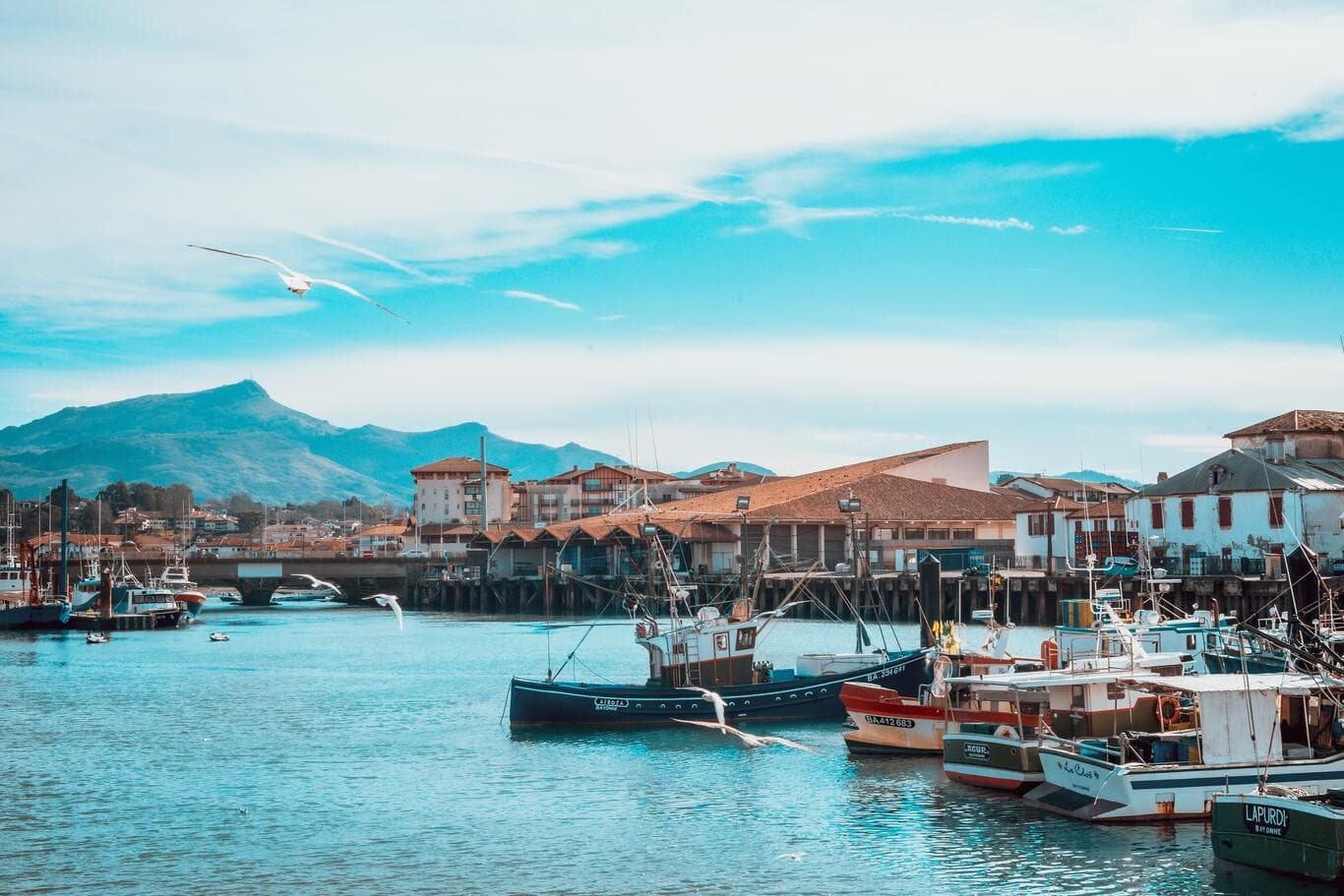 Beach & Cultural Adventures at Costa francesa with Around Tours