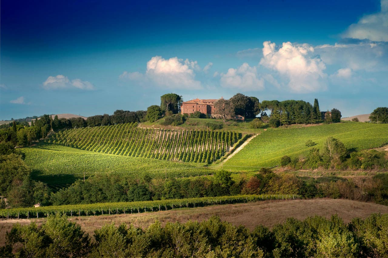 Wine Tasting at Hidden Experiences in Montalcino