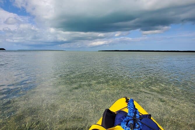 Everglades Airboat Ride & Little Havana Walking Tour, Florida
