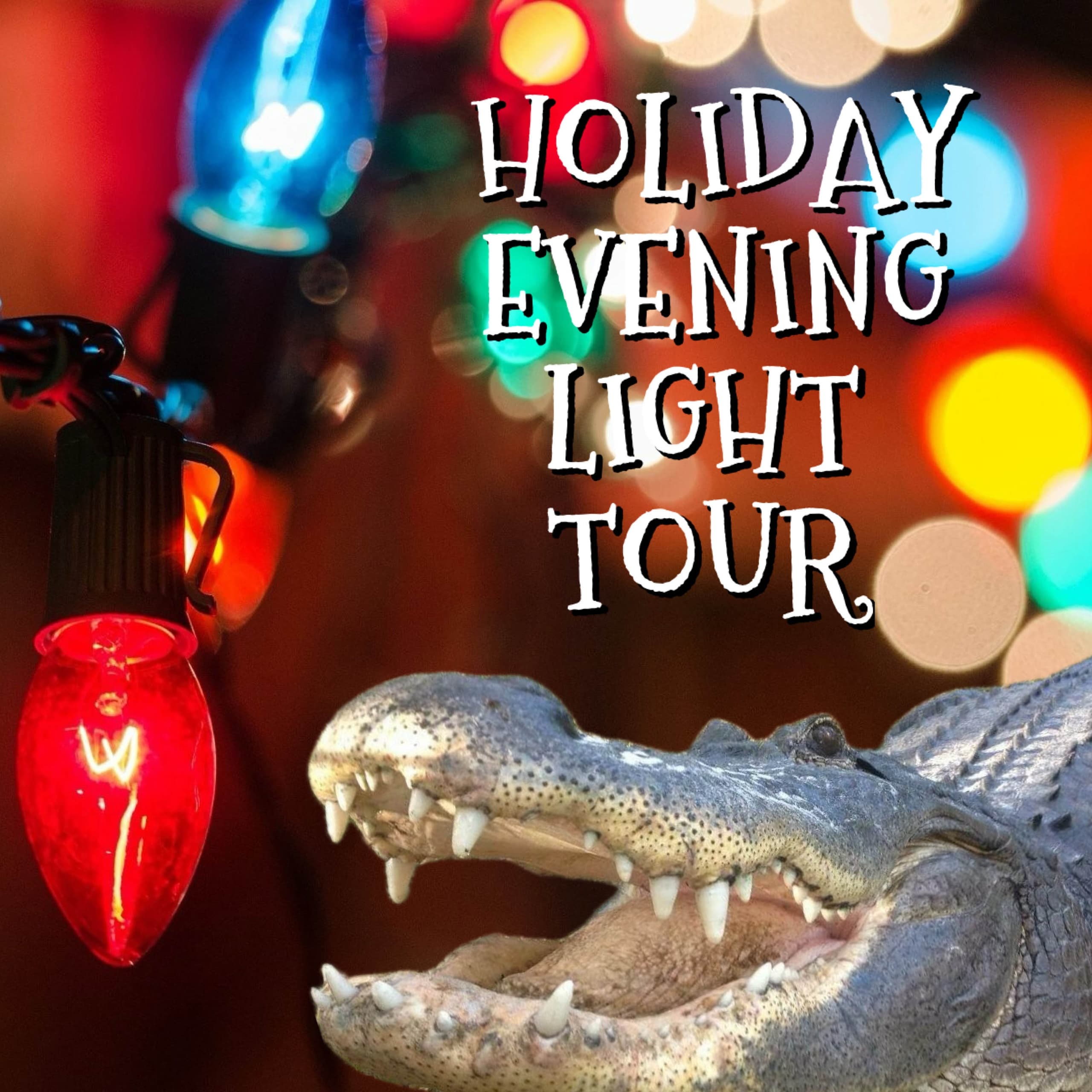 Holiday Evening Light Tour at Croc Encounters: After-Hours Alligator Feedings in Tampa photo 2