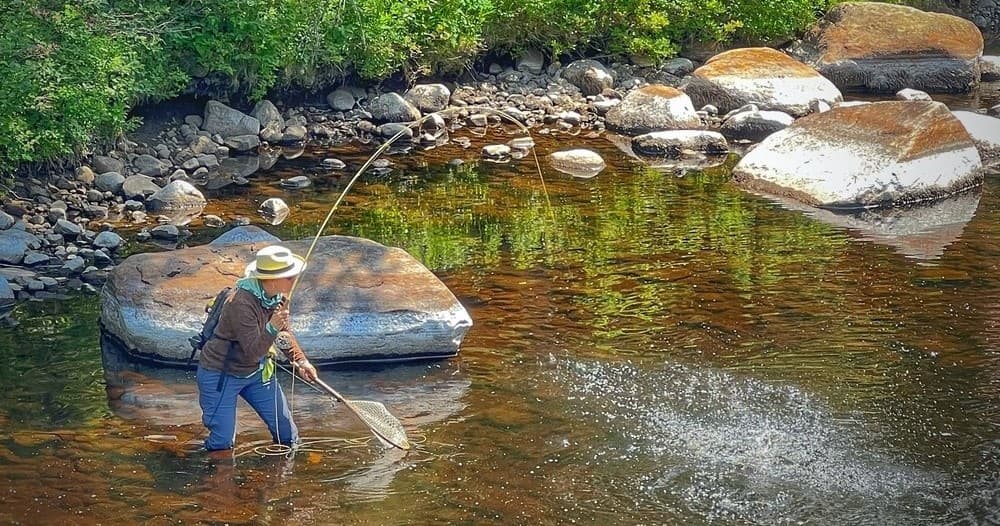 Angler wading a clear stream fly fishing among river boulders