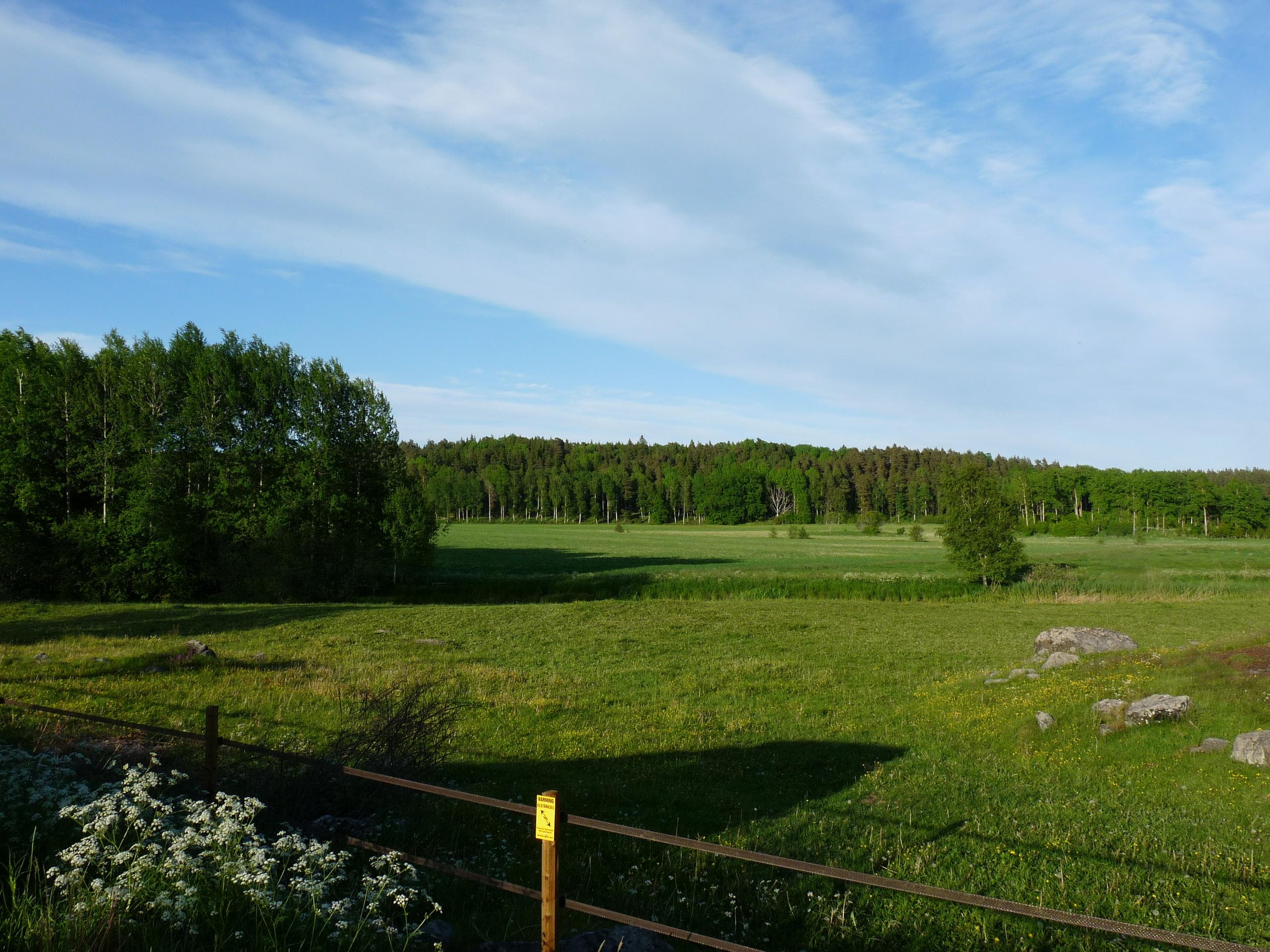 Viking History Tour in Bromma by Sweden History Tours photo 1