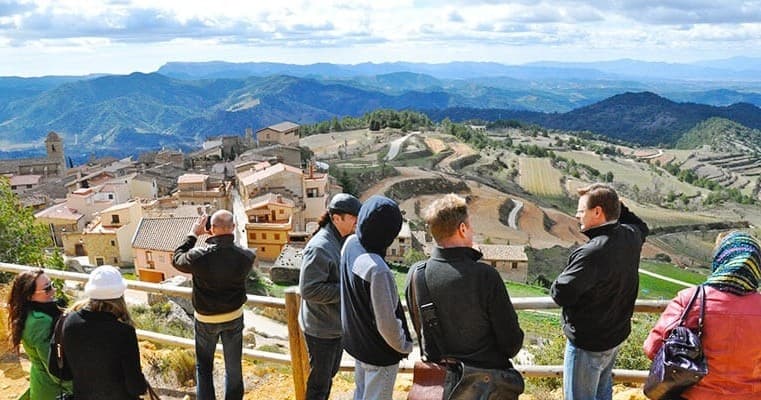 Penedès Wine Tasting Day Trip from Barcelona