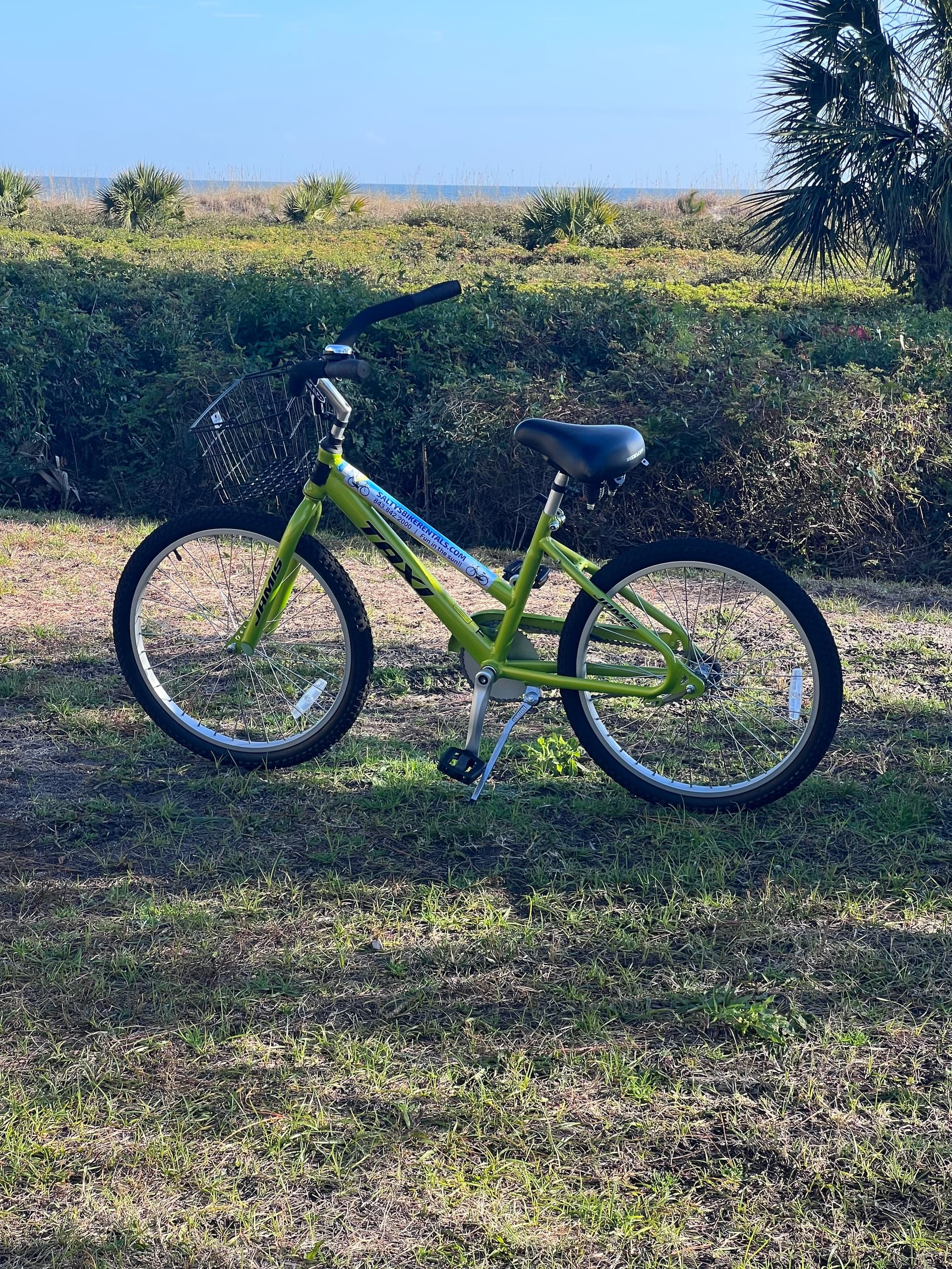 Salty’s Bike and Beach Rental fleet