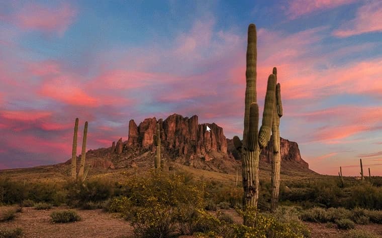 Happy Cactus Tour: Explore Scottsdale & Superstition Mountains