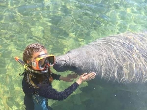 Swim With Manatees team