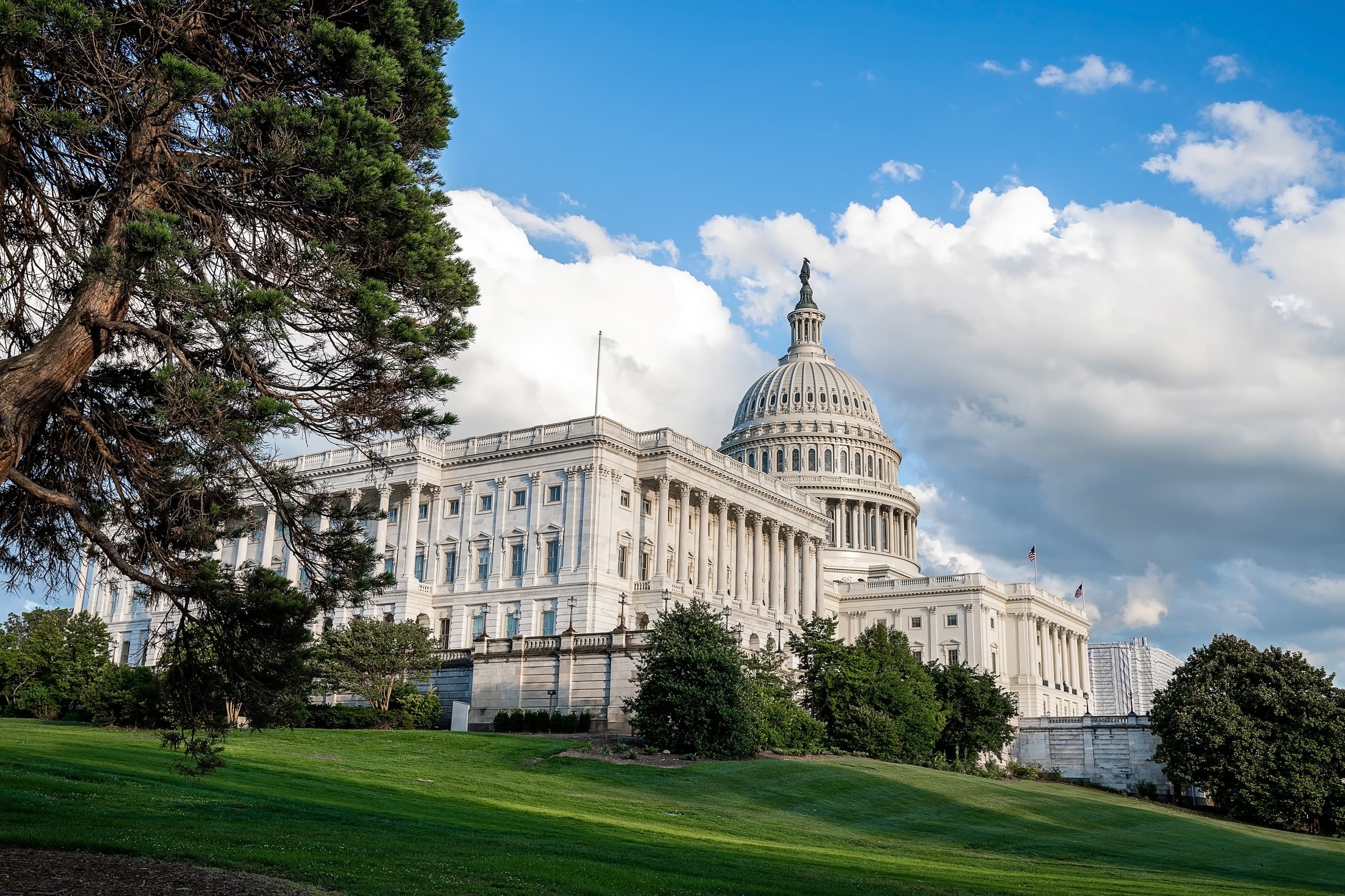 Power Walk Through History: National Mall & Washington Monument 1.5‑Hour Guided Tour photo 3