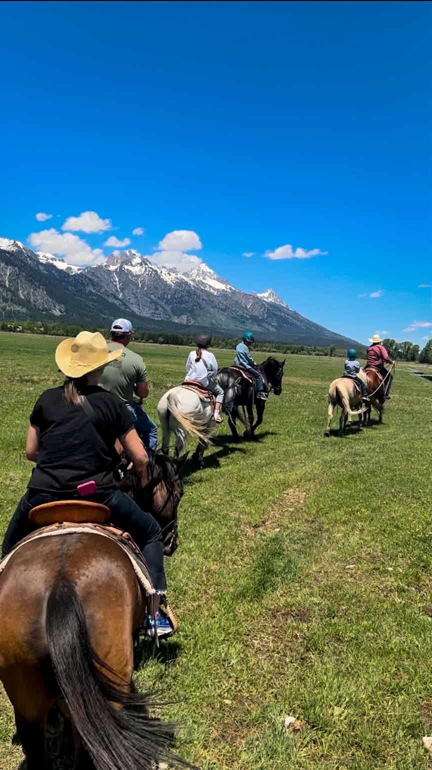 Horseback Rides at Teton Village: Scenic Trails from the Gray Barn