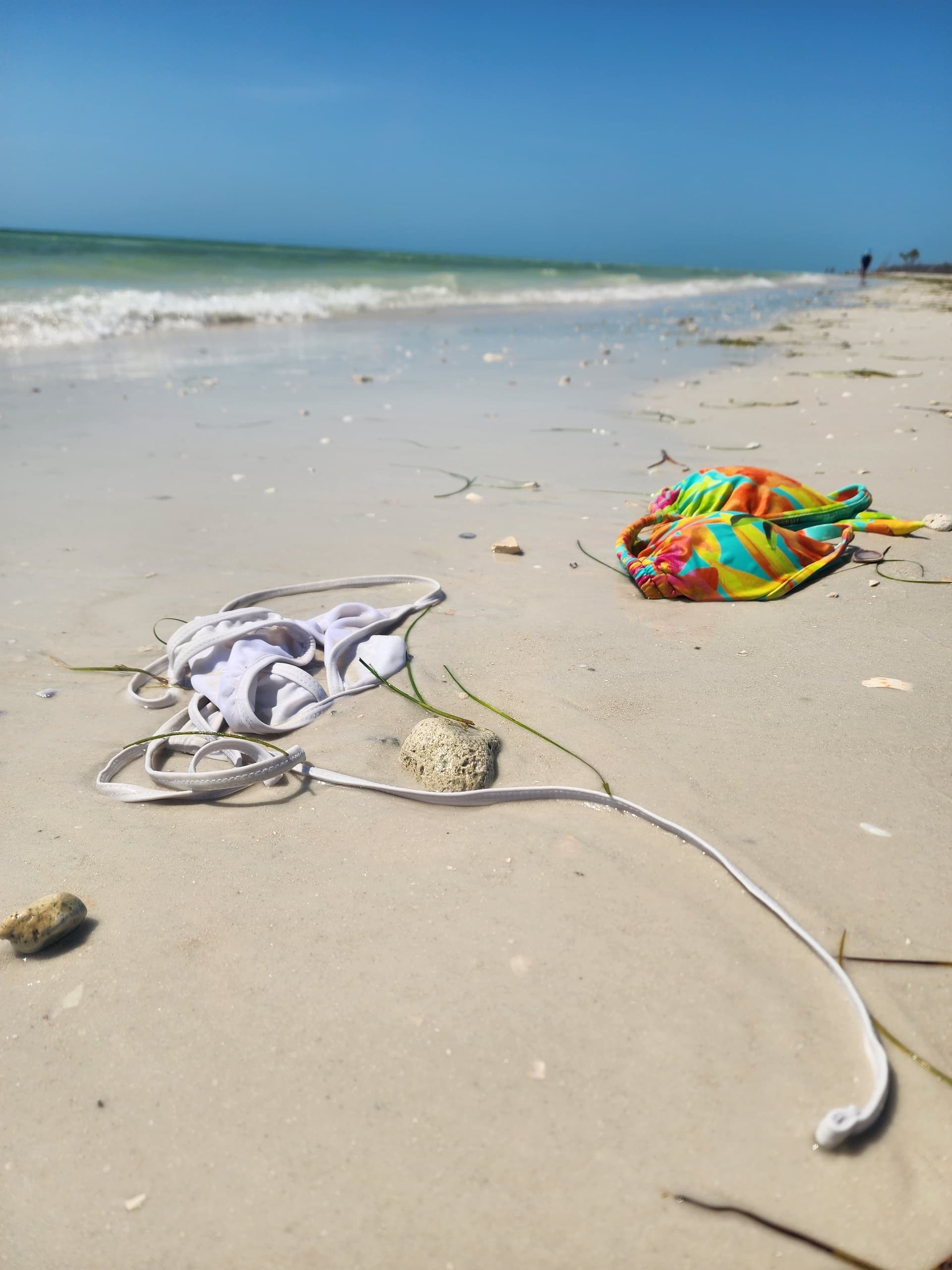 Passage Key Sandbar Trip: Private 4-Hour Clothing-Optional Escape from St. Petersburg photo 1
