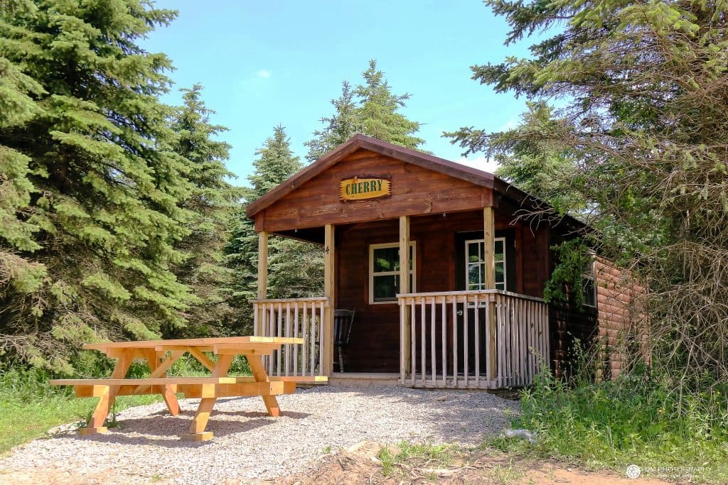 Cherry Cabin: Eco-Friendly Cabin Stays with Trail Access Near Andover, NY