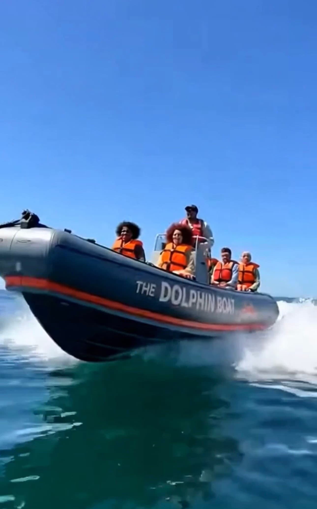 Marina del Rey Dolphin and Wildlife Boat Tour — 90-Minute Santa Monica Bay Excursion