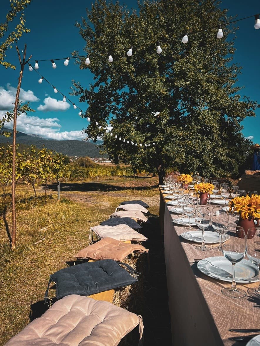 Hands-On Harvest at Quinta das Murgas: Bucelas Vindima Experience photo 1