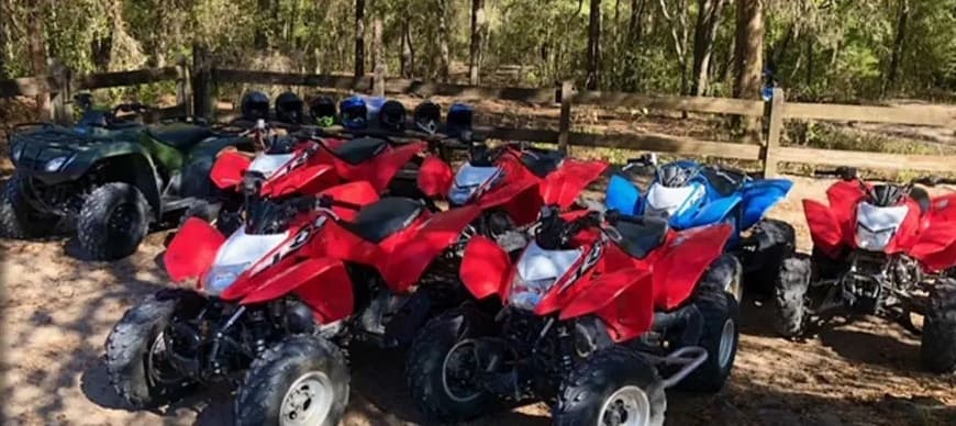 Multiple red ATVs lined by wooden fence at outdoor staging area