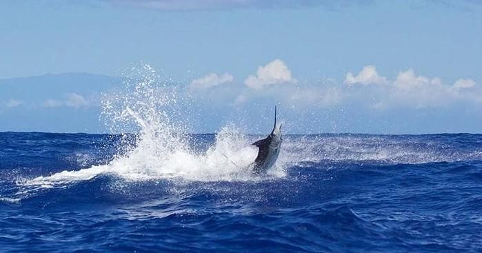 Ohana Fishing Charter
