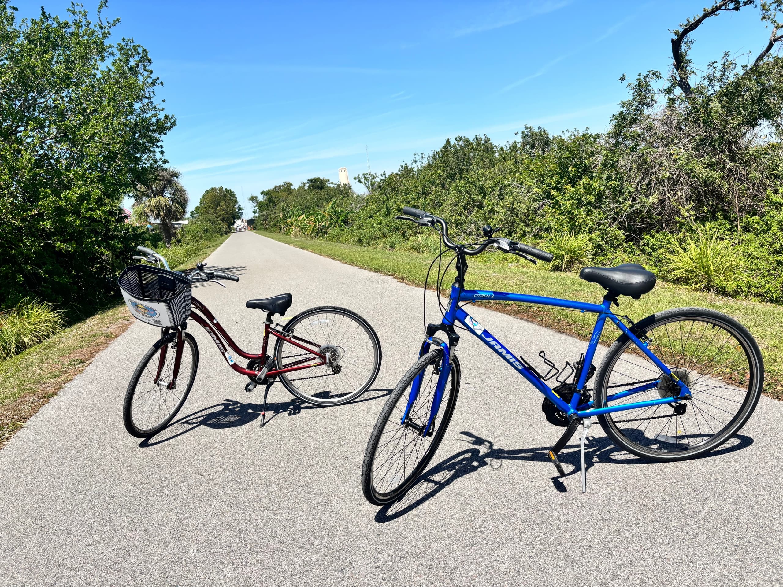 Bike Along Sarasota’s Legacy Trail with Legacy Trail Bike Rentals