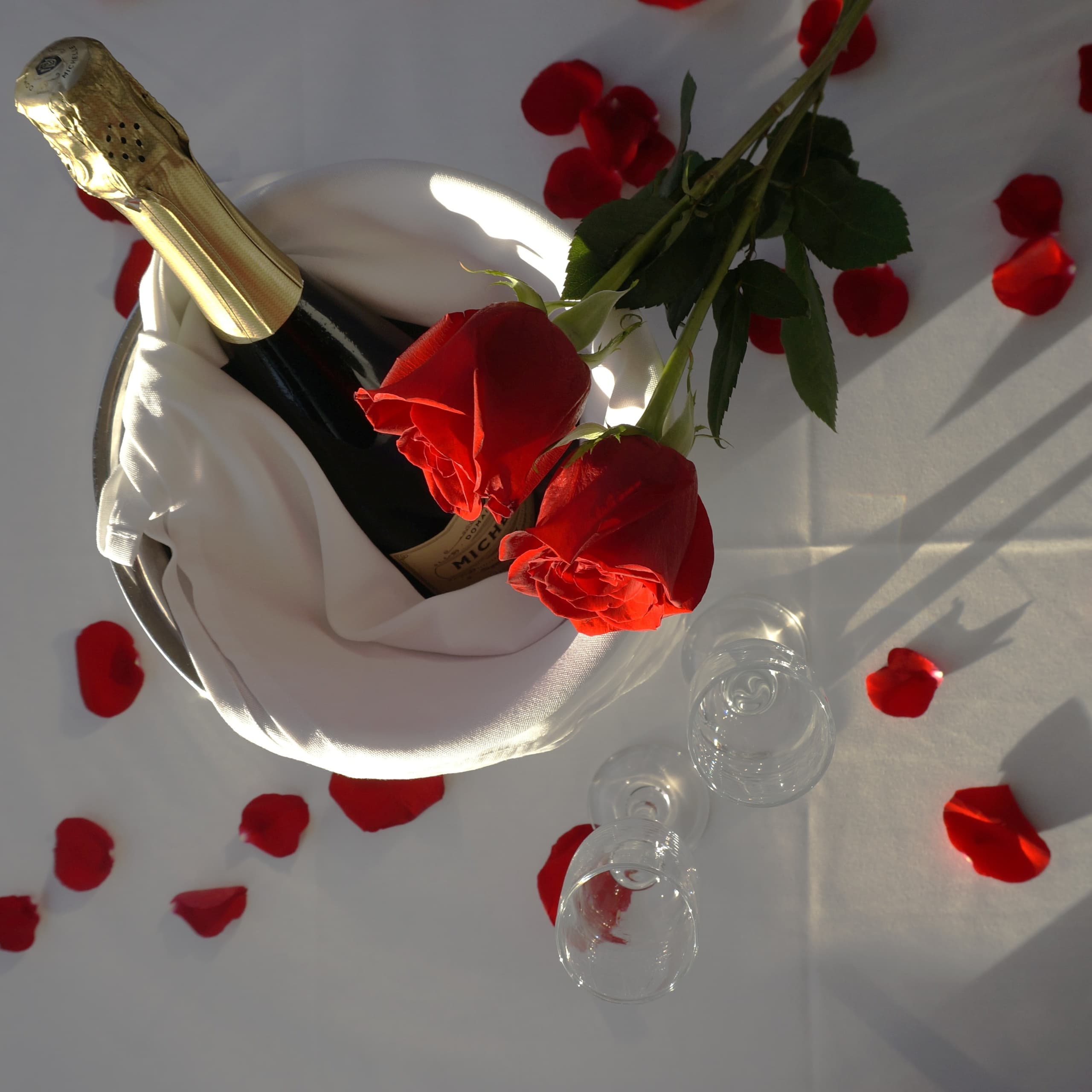 Valentine's Dinner Cruise on Seattle Lakes with Waterways Cruises
