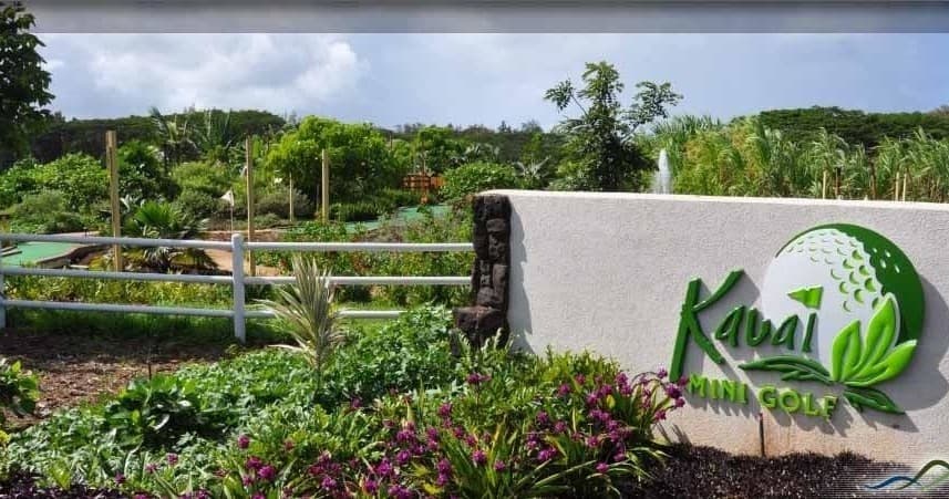 Experience Skeleton Crewe: A Unique Hawaiian Musical Fusion at Anaina Hou Community Park