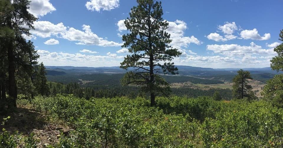 Panoramic mountain vista with hiking trail and pine forests