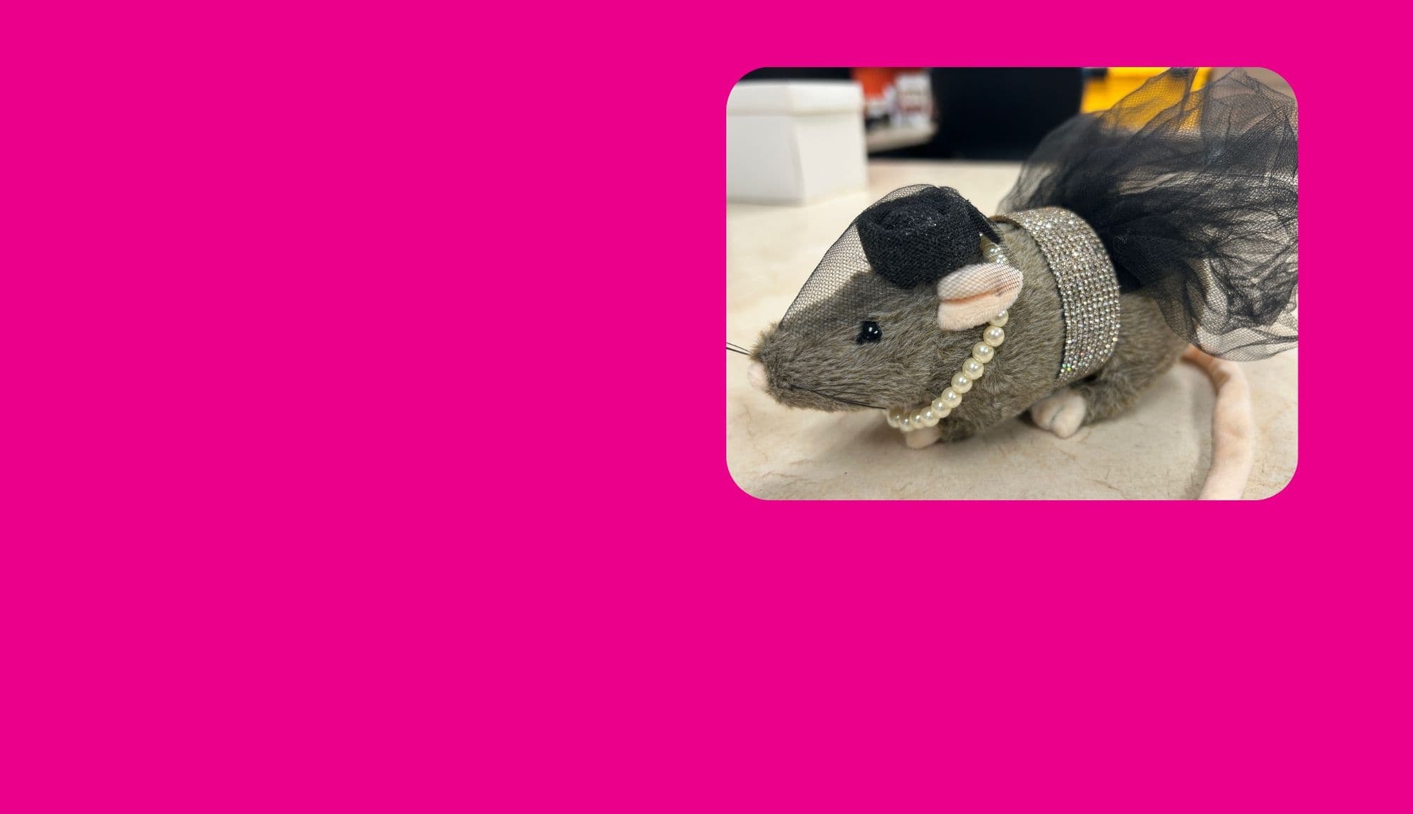 Vermin in Vogue: Rat Runway Craft Workshop in Midland, Michigan