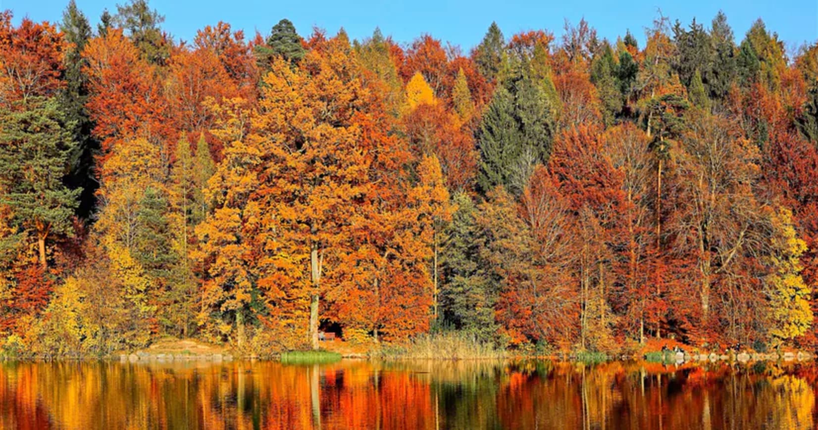Autumn Serenade Luncheon Cruise in Pittsburgh, PA