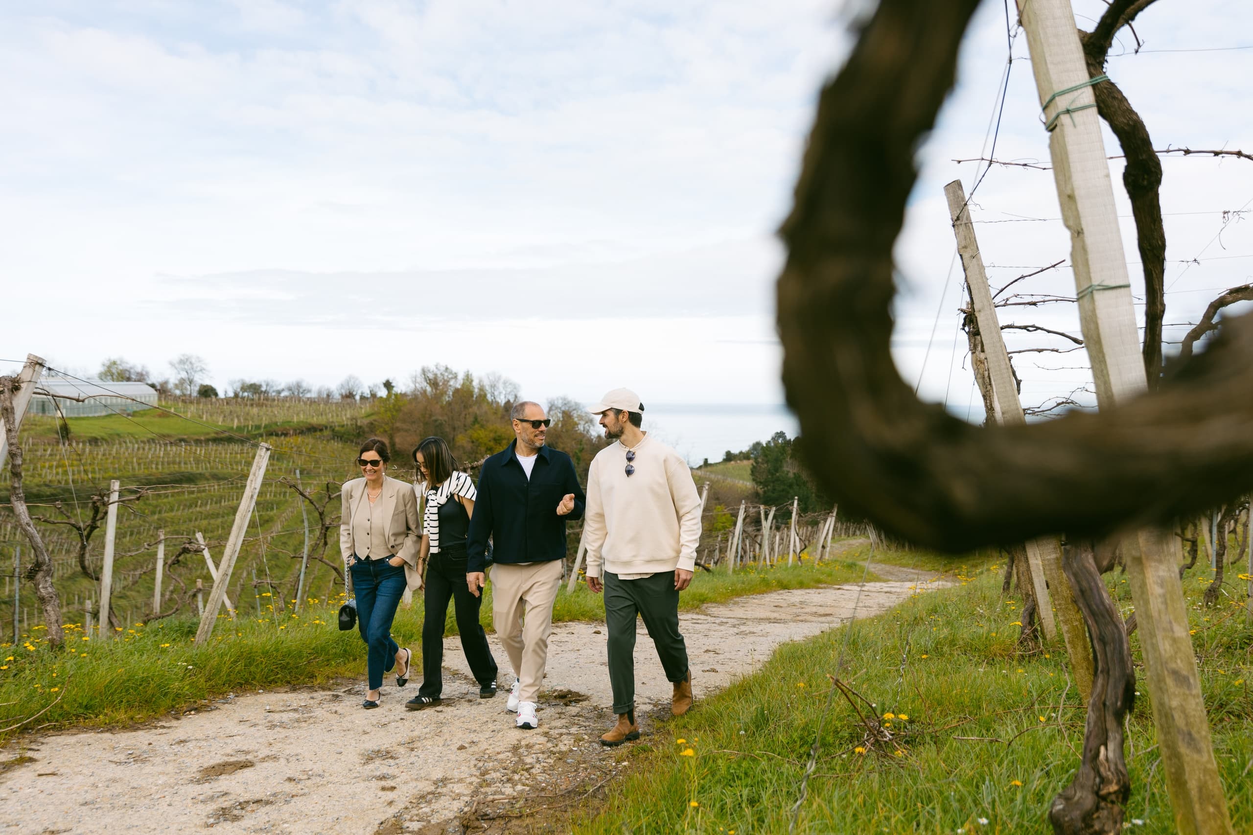 Wine Tours in Rioja Alavesa with AUTOCARES DAVID