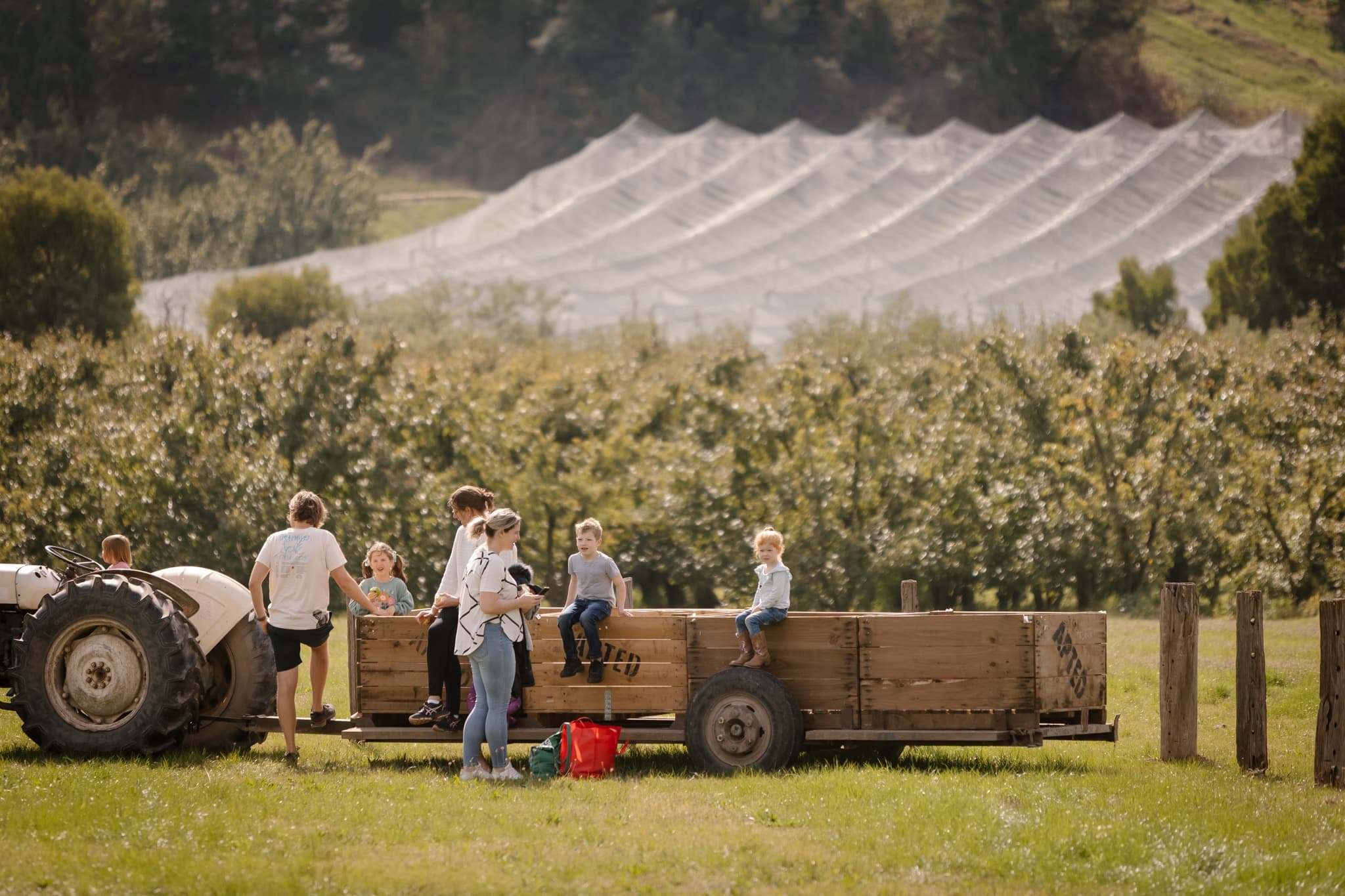 Apteds Orchards team