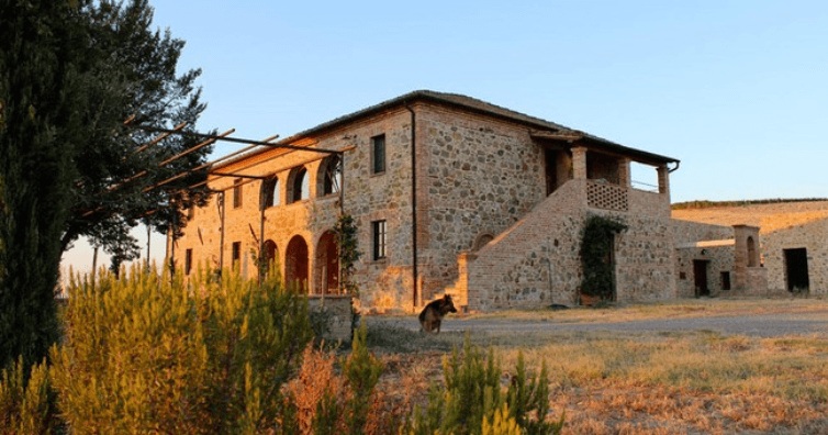 Romantic Dinner Experience at Azienda Agricola Maddalena Cordella