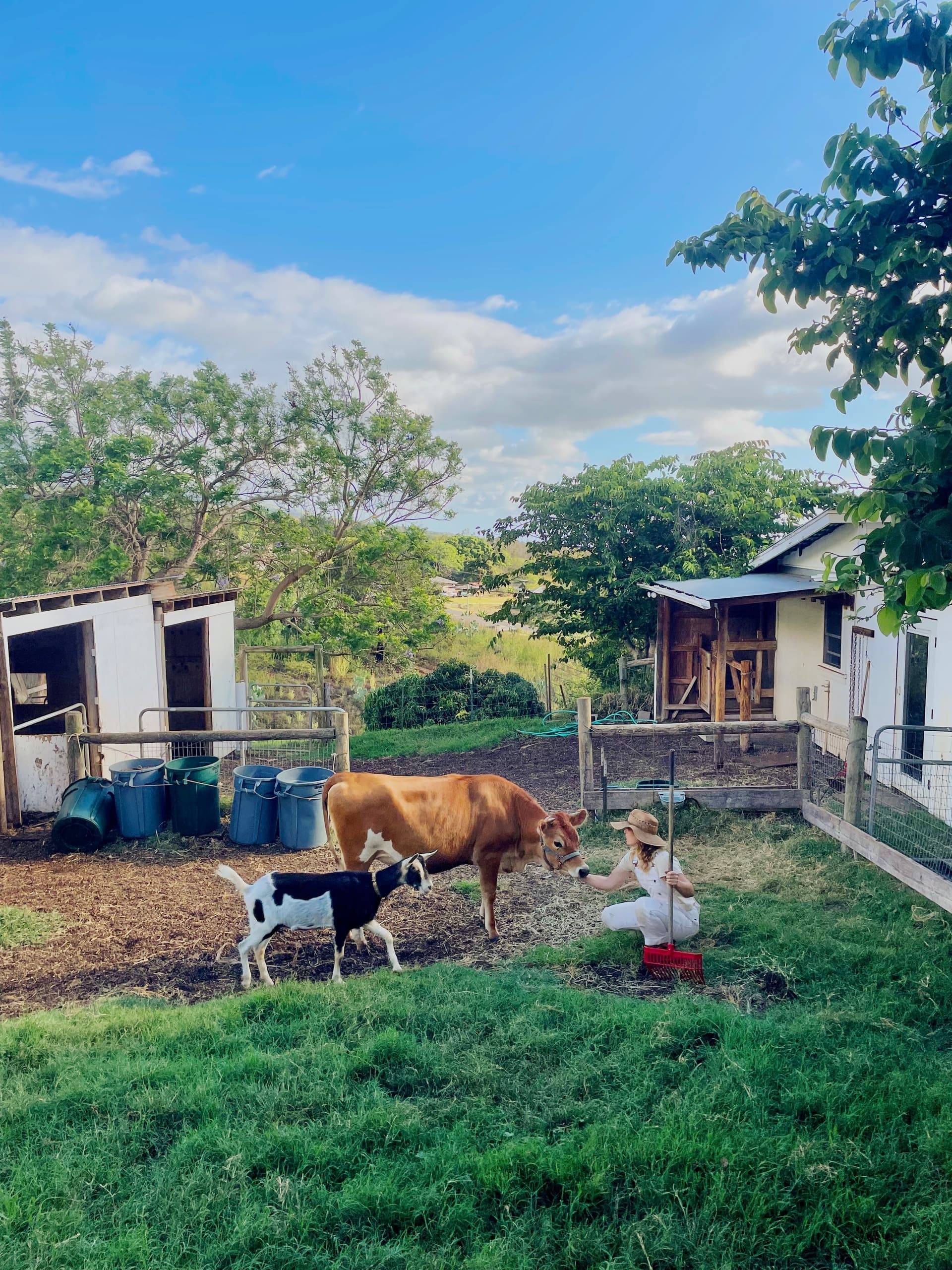Regenerative Agriculture Farm Tour at Maui Bees Inc in Kula