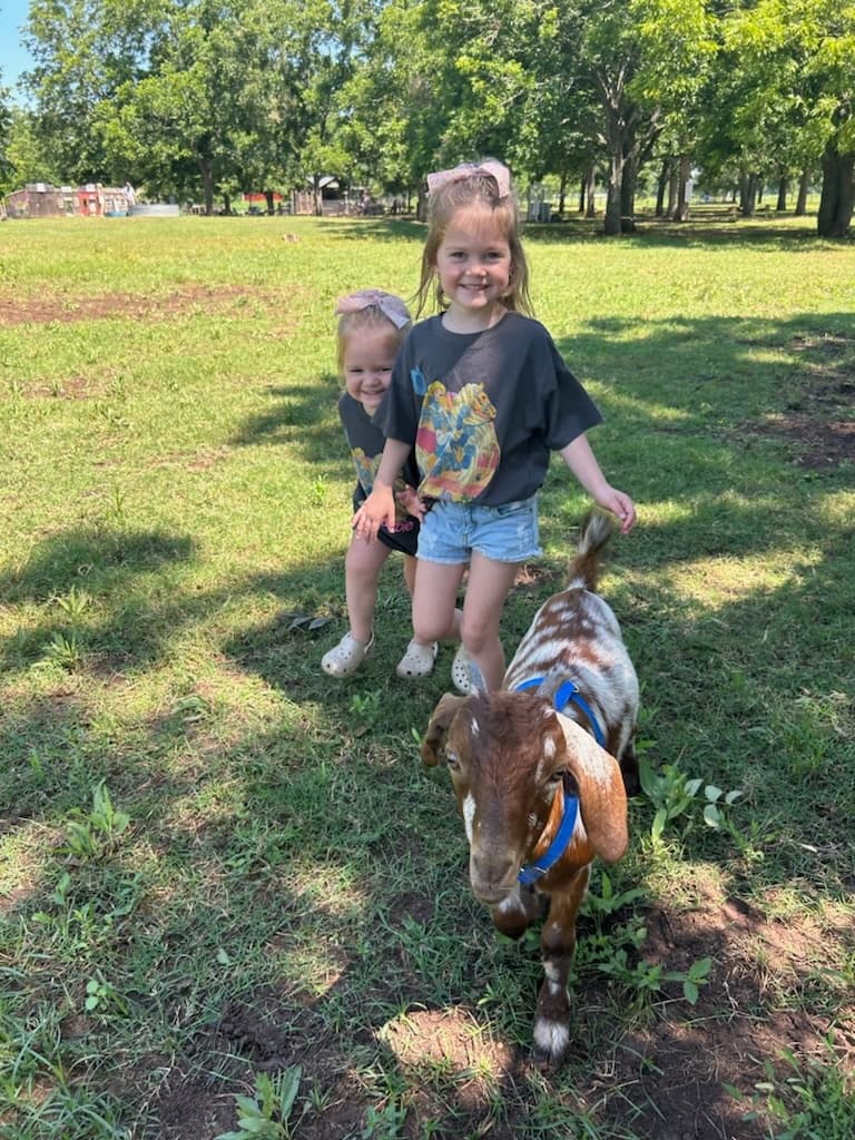Morning Farm Camp in Brookshire, Texas: Summer Fun for Kids