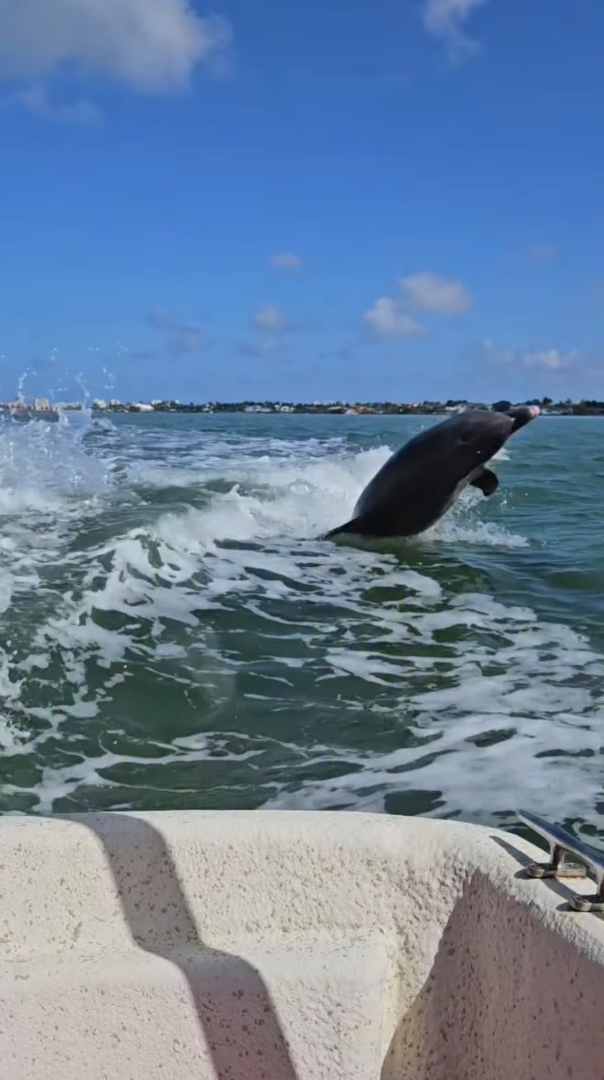 Lowcountry Wildlife Cruise: Coastal Savannah Eco Experience from Savannah Marina photo 1