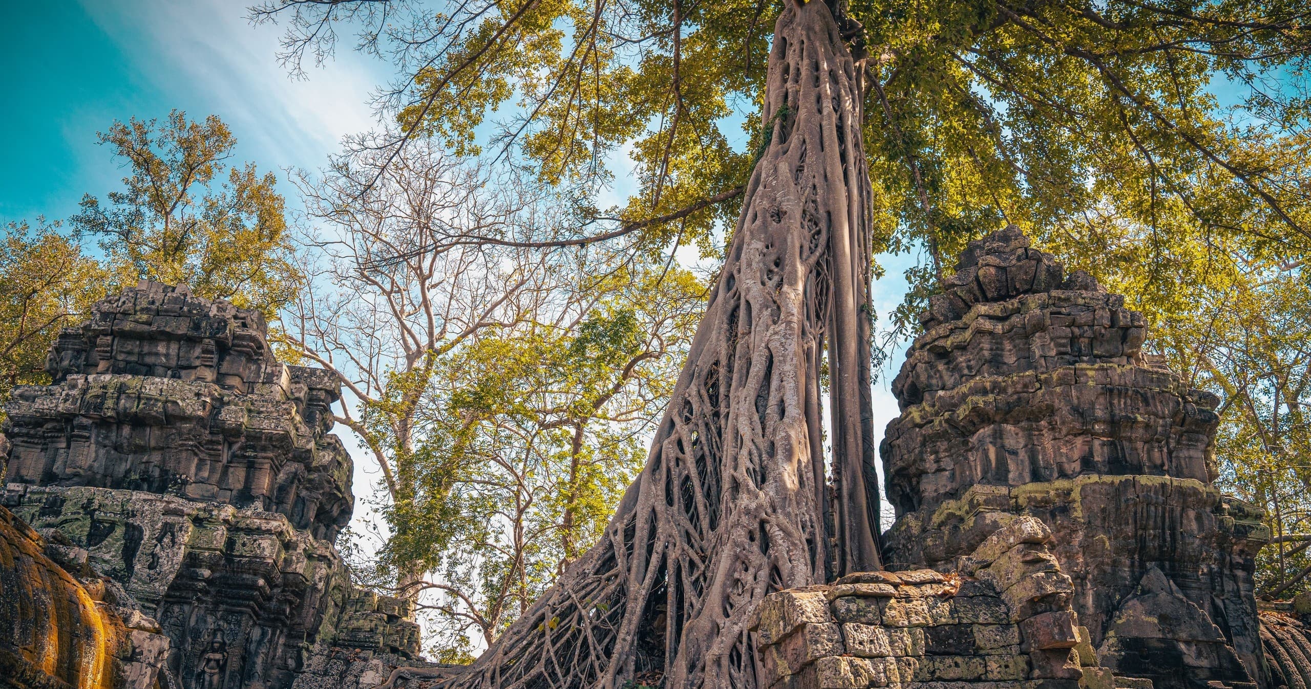 Ancient temple ruins entwined by massive tree roots at Ta Prohm