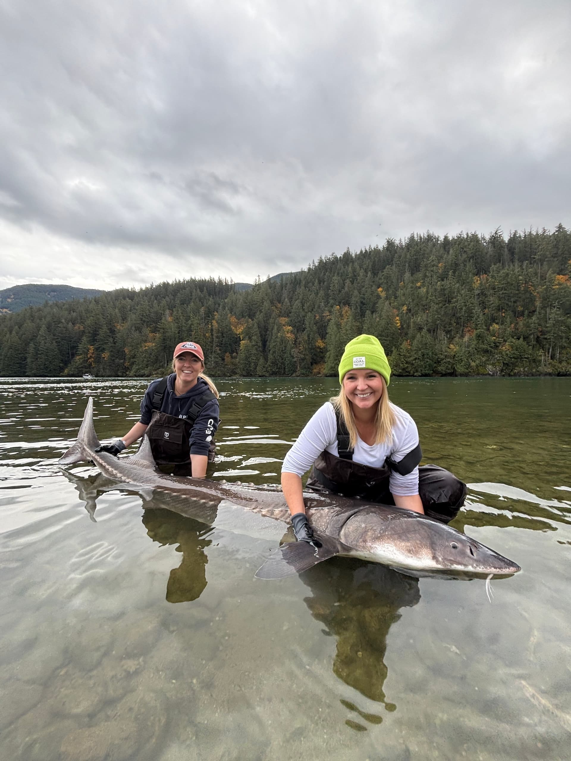 Giant White Sturgeon on the Fraser: 8-Hour Jet Boat Charter from Vancouver