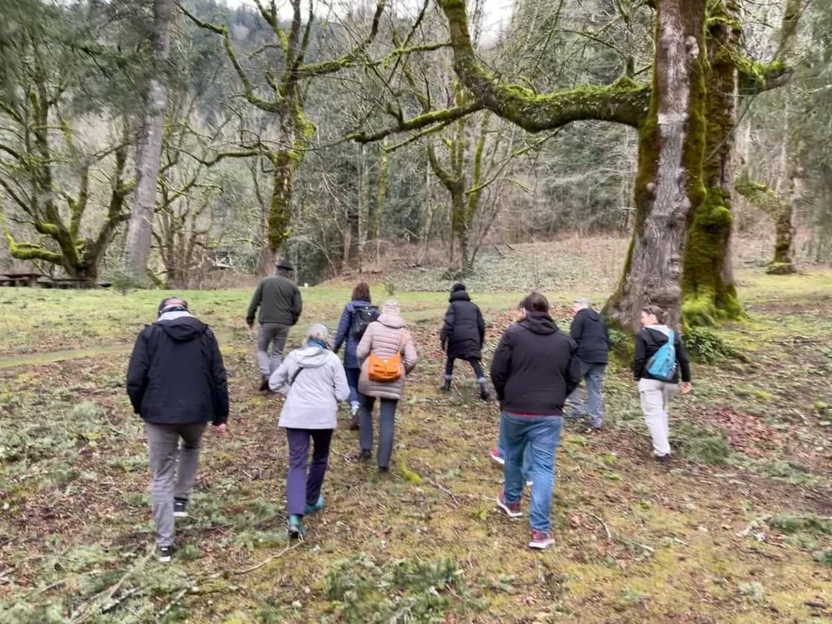 Forest Bathing and Tea Ceremony: Two-Hour Wellness Walk from Portland photo 2